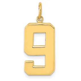 14k Yellow Gold Polished Finish Large Size Number 9 Charm Pendant