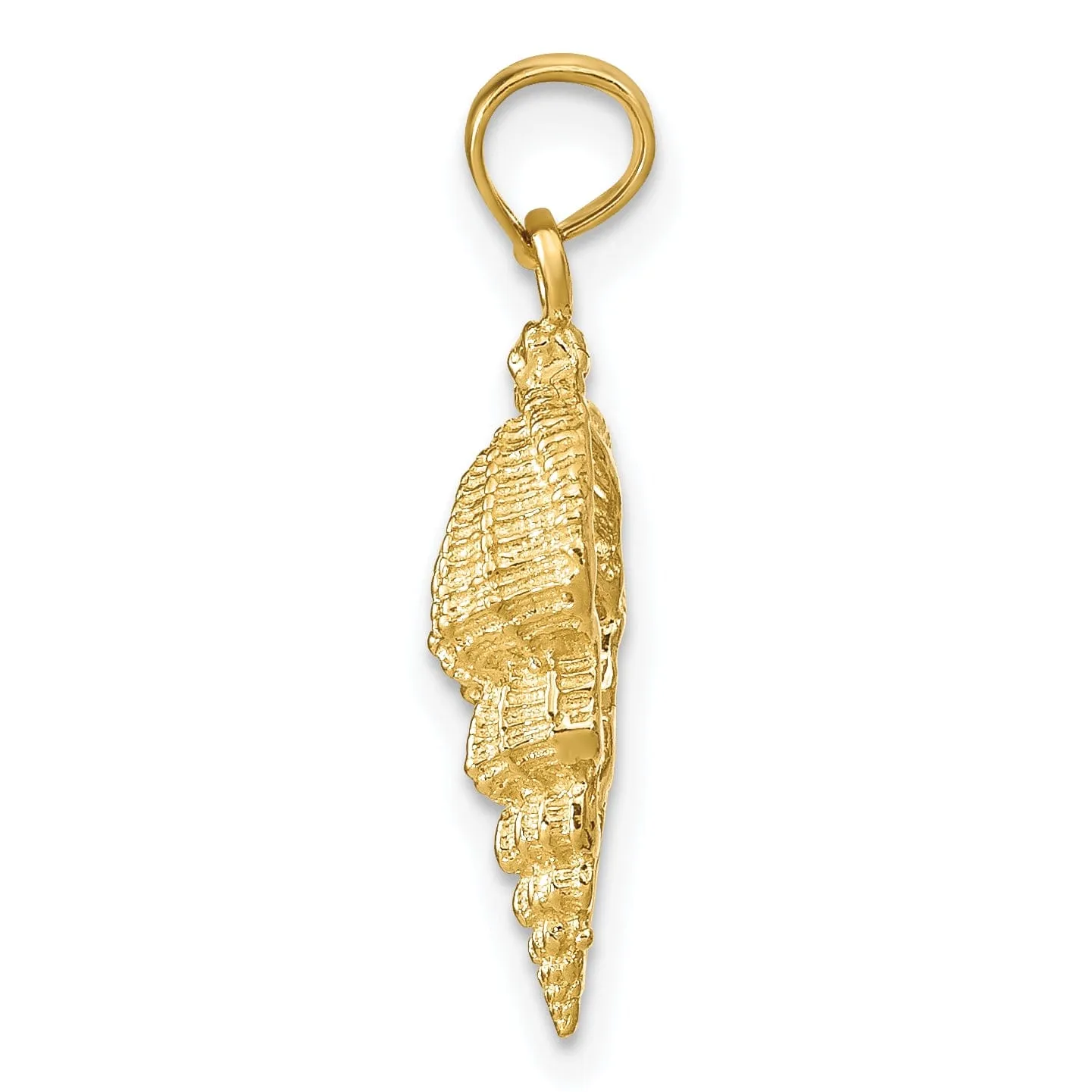 14k Yellow Gold Solid Texture Polished Finish Open Back Men's Conch Shell Charm Pendant