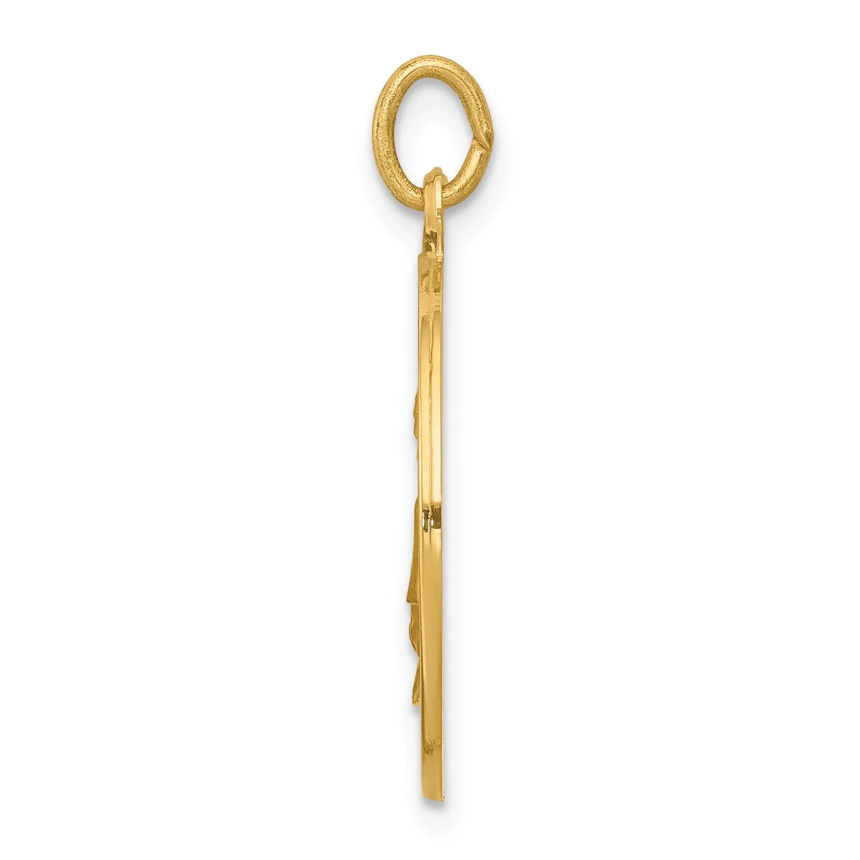 14k Yellow Gold St.Elizabeth Seton Medal Pendant