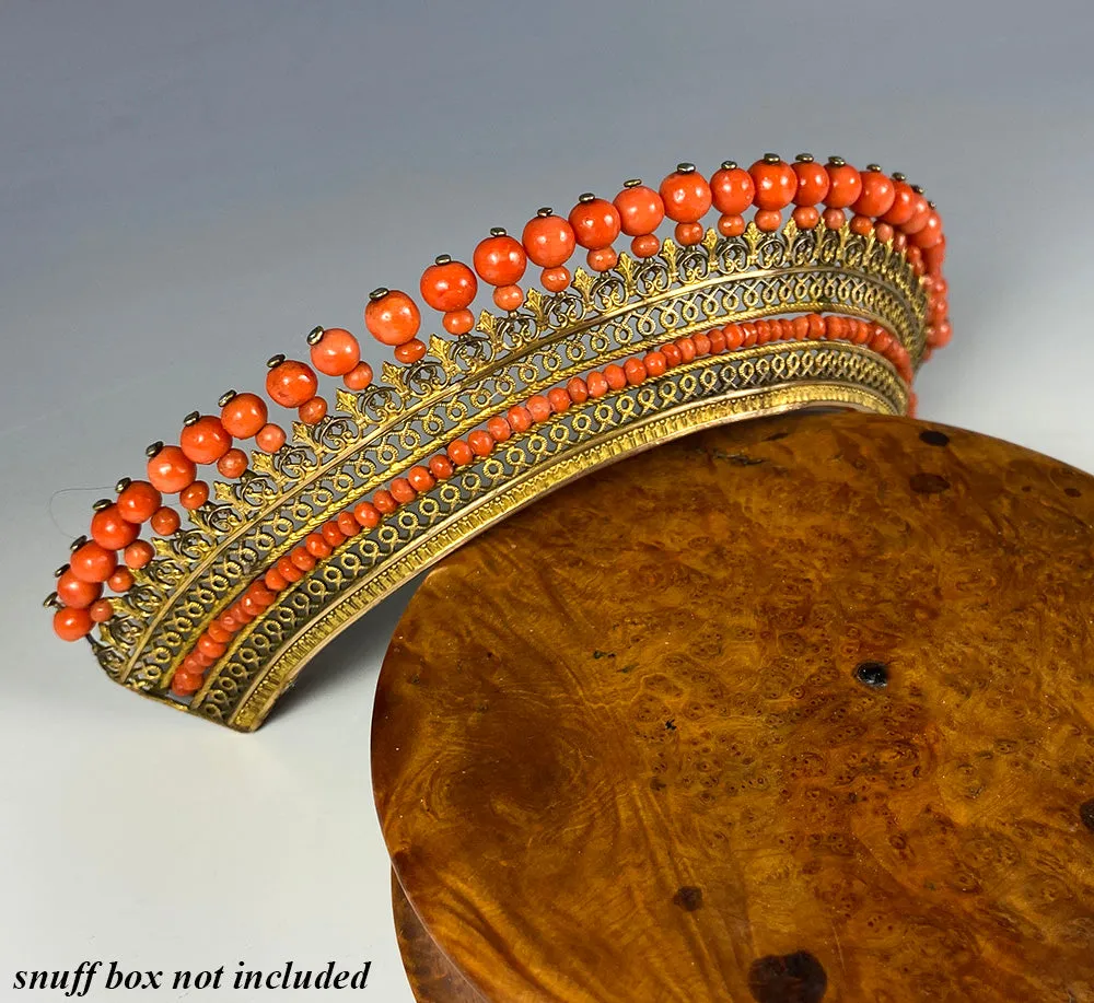 Antique French Empire Red Coral and Ormolu Tiara, Diadem, Crown Hair Ornament, c.1810