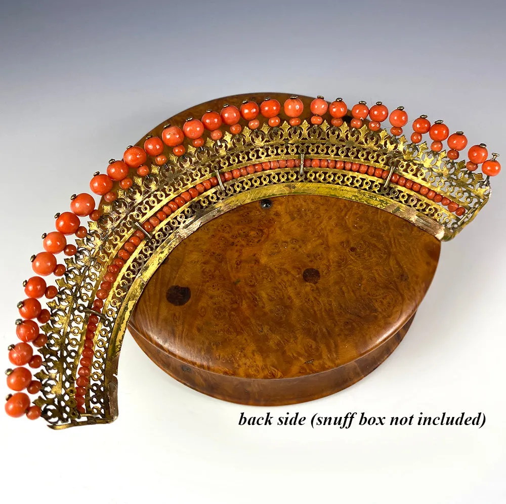 Antique French Empire Red Coral and Ormolu Tiara, Diadem, Crown Hair Ornament, c.1810