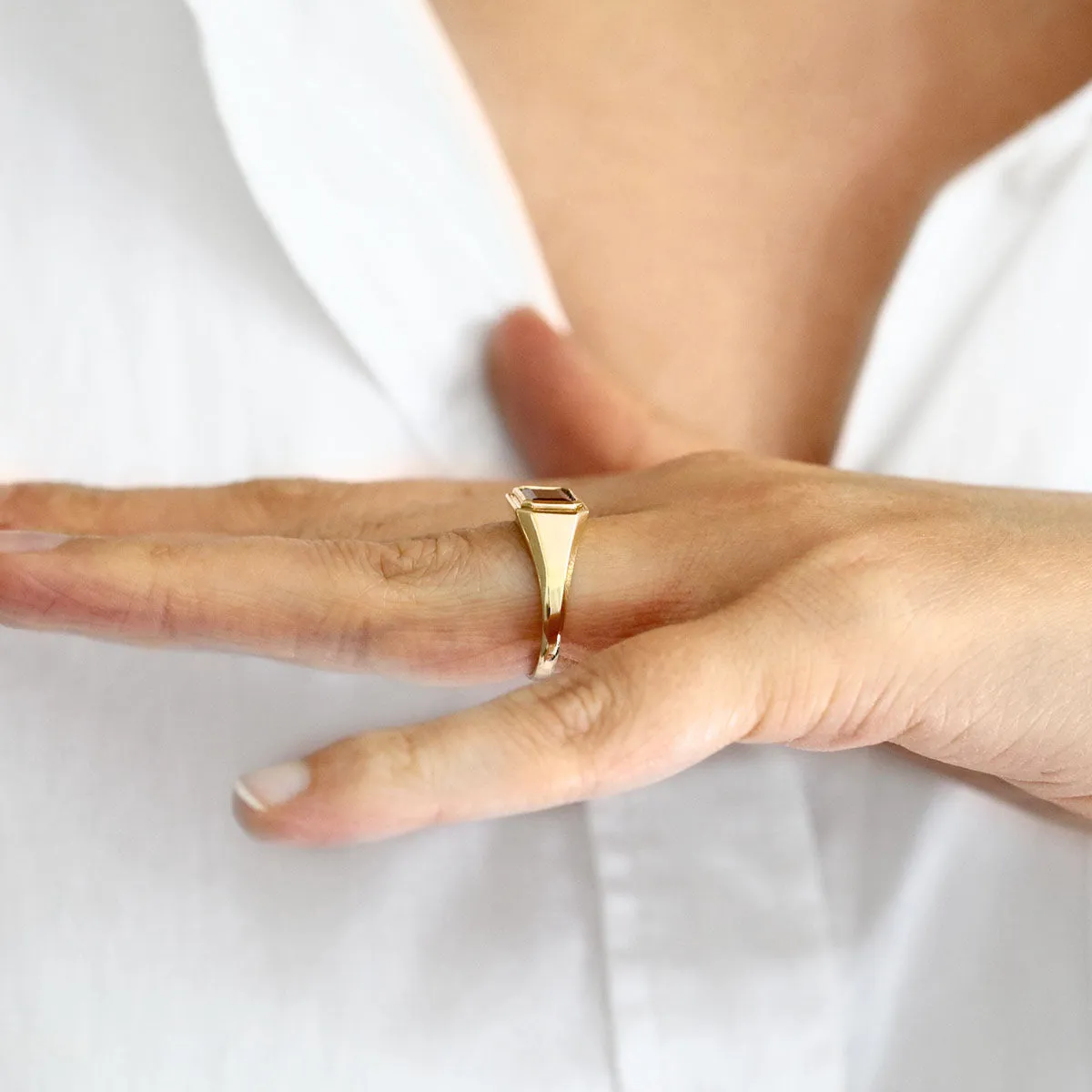 Bijou Collection 2.09ct Octagonal Garnet Signet Ring | 9K Yellow Gold