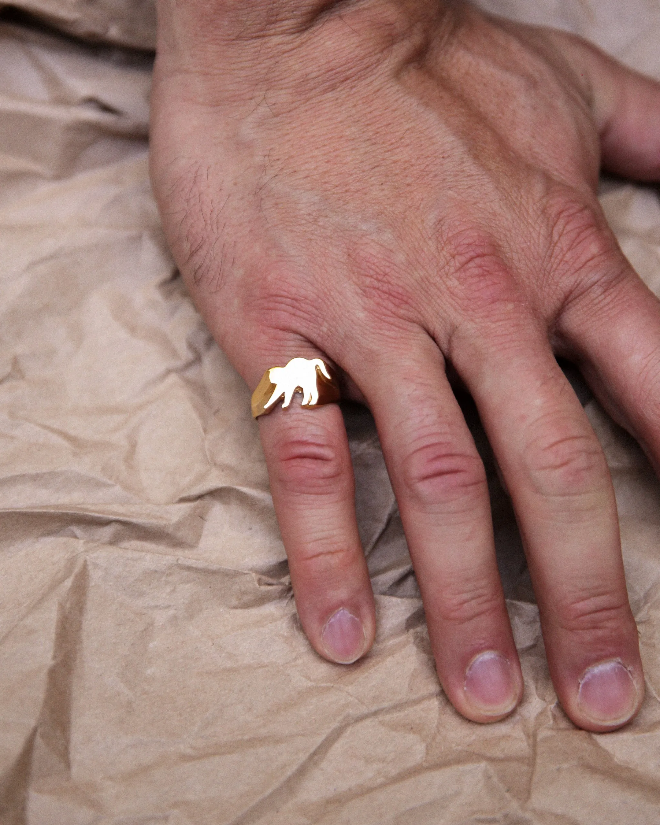 Cat Signet Ring by Jonathan Johnson