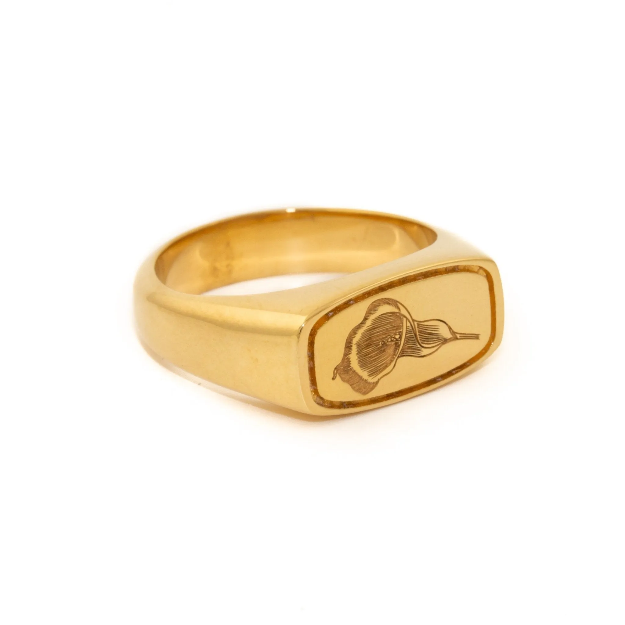 Gold Egyptian Calla Lily