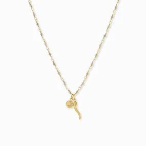 Italian horn and cz charm necklace