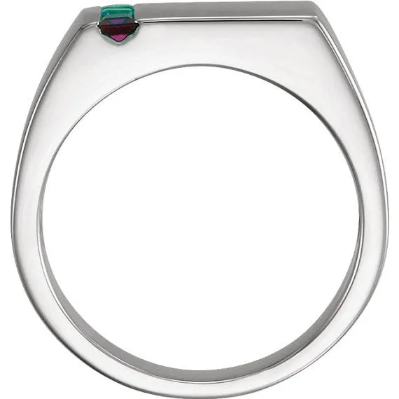 Men's Father's or Grandfather's Family Birthstone Signet Ring