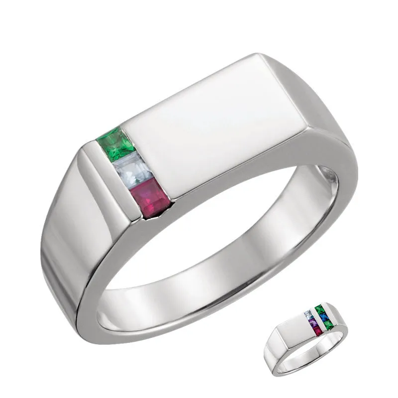 Men's Father's or Grandfather's Family Birthstone Signet Ring