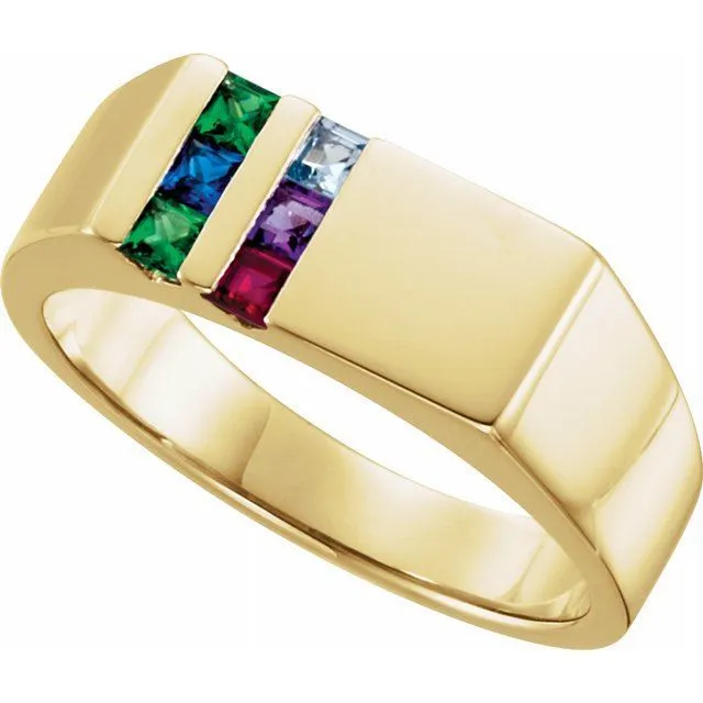 Men's Father's or Grandfather's Family Birthstone Signet Ring
