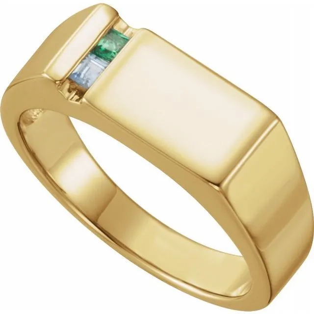 Men's Father's or Grandfather's Family Birthstone Signet Ring