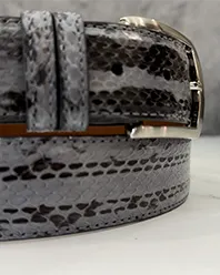 Racer Snake: Grey Ghost