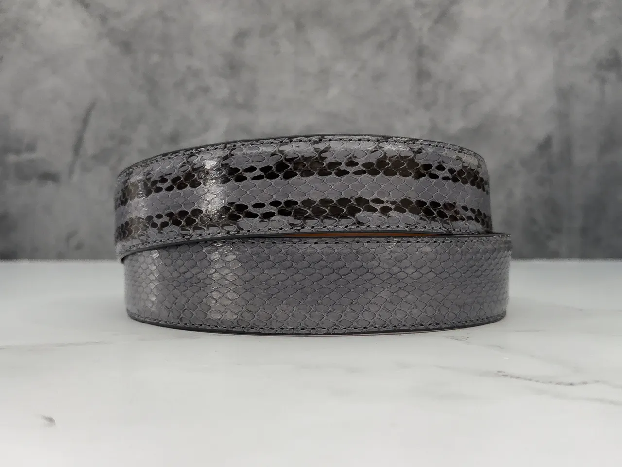 Racer Snake: Grey Ghost
