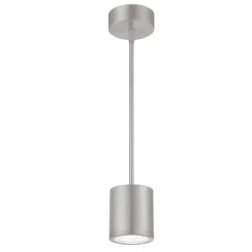 WAC Tube Pendant Downlight Ceiling Mount 3000K ALUMINUM PD-W2605-AL